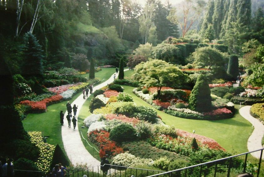 Butcher's Garden