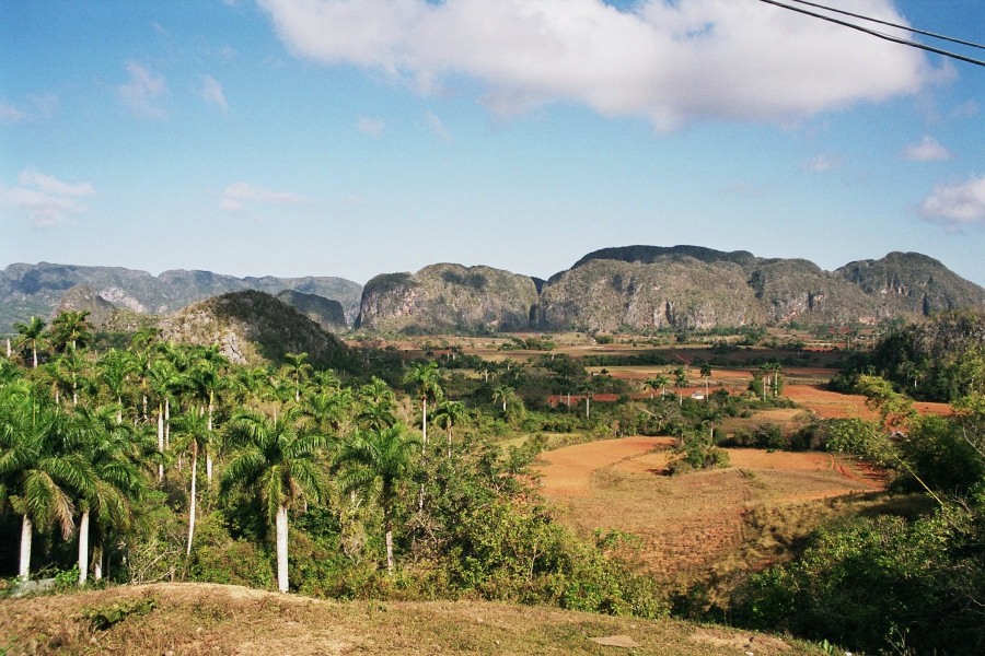 Vinales