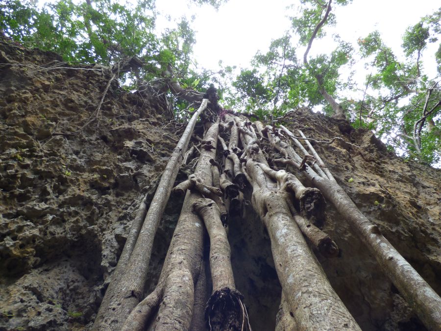Schlucht
